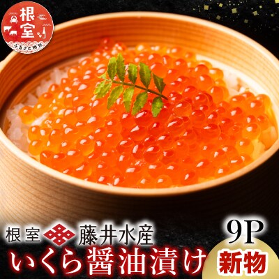 【12/31決済分まで1月配送】いくら醤油漬け60g×9P(計540g)(小分け) C-42101