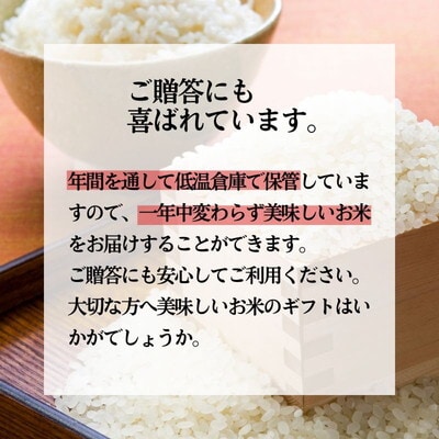 《定期便2ヶ月》白米 特別栽培 あきたこまち5kg[No.5335-0882]