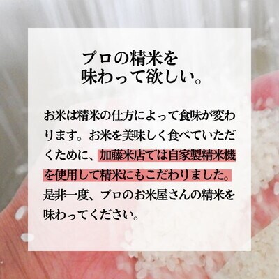 《定期便3ヶ月》白米 特別栽培 あきたこまち5kg[No.5335-0883]