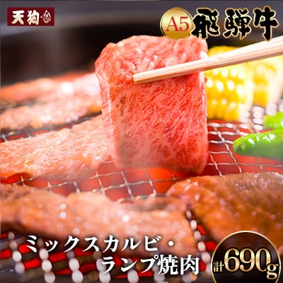 飛騨牛 ミックスカルビ・ランプ焼肉 計690g【11-1022】