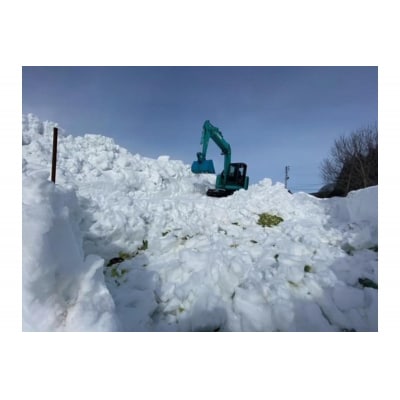 雪下キャベツ【新潟県妙高市】