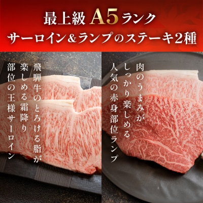 A5飛騨牛サーロイン・ランプステーキ 約380g【11-1025】