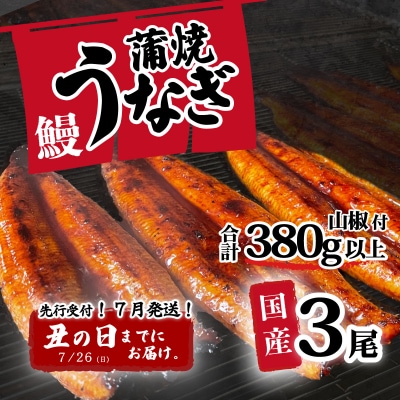 【土用の丑の日までにお届け】訳あり 国産うなぎ 蒲焼き 3尾 380g以上 大きさ不揃い 山椒付き