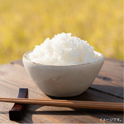 糸島で育てた山つき糸島米3kg(夢つくし) 糸島市/itoshimacco[ARJ010]