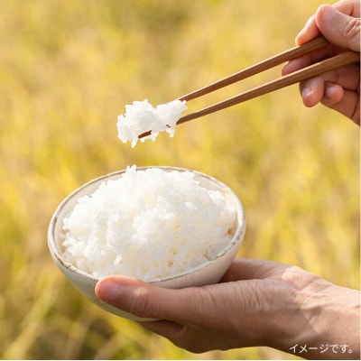 糸島で育てた山つき糸島米3kg(夢つくし) 糸島市/itoshimacco[ARJ010]