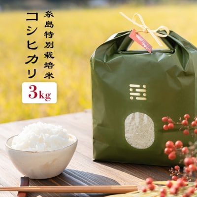 とくべつの中のとくべつ 糸島特別栽培米 3kg (コシヒカリ)itoshimacco[ARJ001]