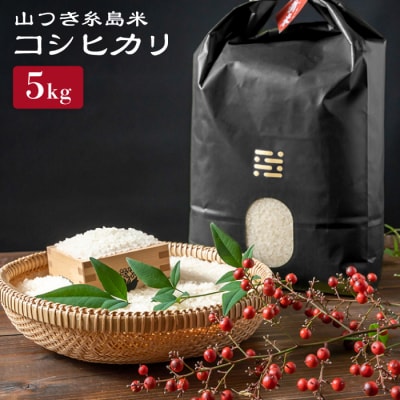 糸島で育てた山つき糸島米5kg(コシヒカリ) 糸島市/itoshimacco[ARJ015]
