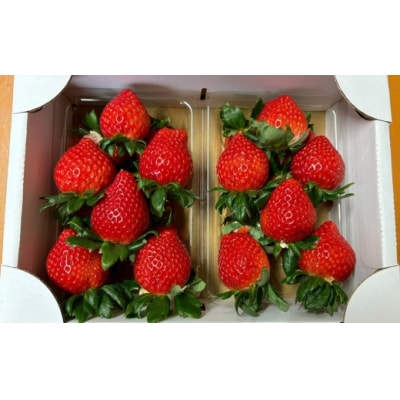 いちご「あまりん」300g×2パック