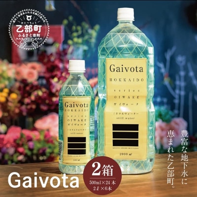 【Gaivota　1箱(500ml×24本/箱)+1箱(2L×6本/箱)】天然シリカ水