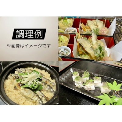 日野川育ちの「夏香鮎」瞬間冷凍1kg(約10cm小鮎)