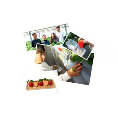 【数量限定】埼玉県限定いちご「あまりん」2パック