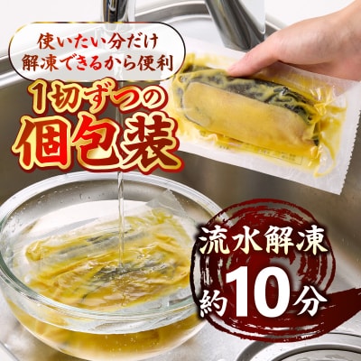 銀鱈西京漬け(約60g×10切れ)銀だら 銀ダラ(a10-848)