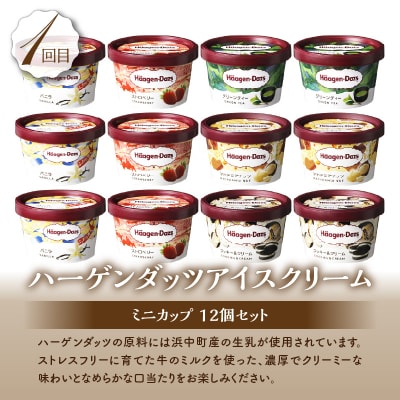 <全2回・連続>北海道浜中町の人気スイーツお試し定期便_ H0100-007