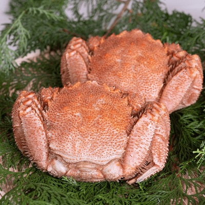 ★茹で毛がに約450g×2尾 C-45007