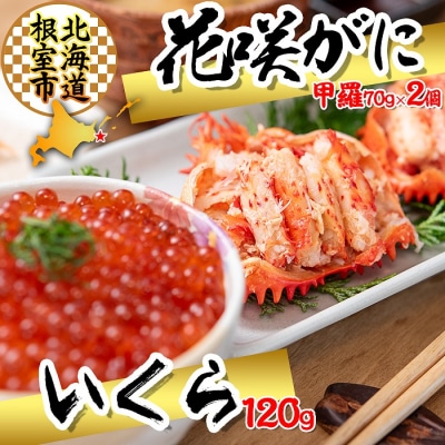 ★花咲ガニ(甲羅詰)70g×2P、いくら醤油漬1P B-45011