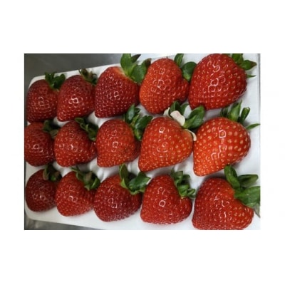 【数量限定】埼玉県限定いちご「あまりん」 1ホール