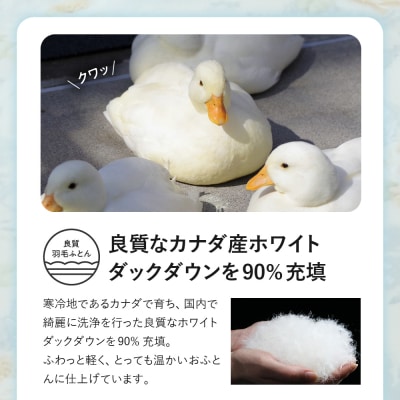 シルク100% カナダ産ホワイトダックダウン90% 最高級羽毛掛け布団 ダブル オフホワイト