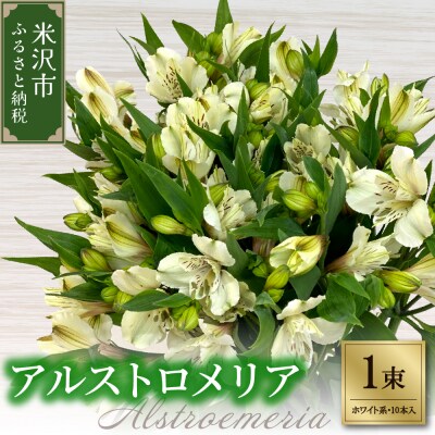 アルストロメリア 1束 ( 10本 入り ) 〔 ホワイト系 〕 花 生花