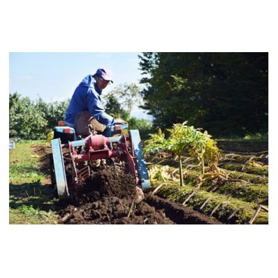 ことぶき農園　手作り生芋こんにゃくセット(ゆずみそ付)No.1885