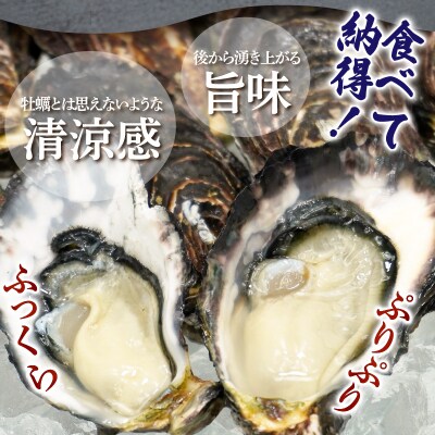 牡蠣 生食用 くにさきオイスター 大サイズ8個(殻付き重量110～200g/個)_2360R
