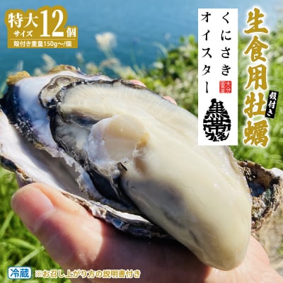 牡蠣 生食用 くにさきオイスター 特大サイズ12個(殻付き重量150g～/個)_2361R-1