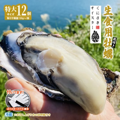 牡蠣 生食用 くにさきオイスター特大12個(殻付き重量150g～/個)牡蠣ナイフ付き_2361R-2