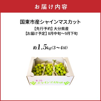 【先行受付】農家直送!新鮮!朝づみシャインマスカット約1.5kg令和8年産_2537R-2