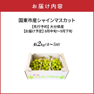 【先行受付】農家直送!新鮮!朝づみシャインマスカット約2kg令和8年産_2537R-3