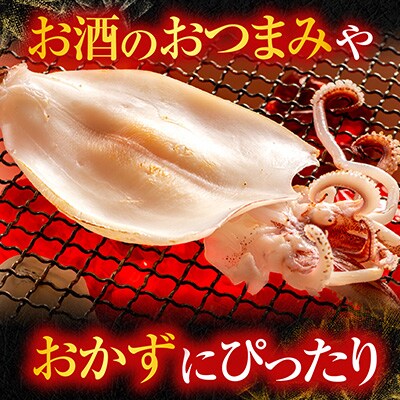 【北海道産】いか一夜干し2枚 G-14079