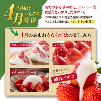 【アフター保証】  4月発送!「博多あまおう」約280g×4パック【JAほたるの里】_HA0526