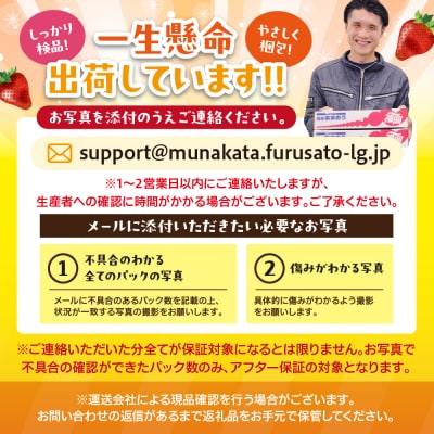 【アフター保証】  4月発送!「博多あまおう」約280g×4パック【JAほたるの里】_HA0526