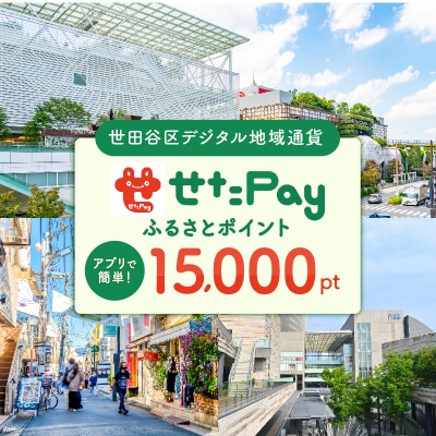 世田谷区 地域限定通貨「せたがやPay」 ふるさとポイント15,000pt(1pt=1円)