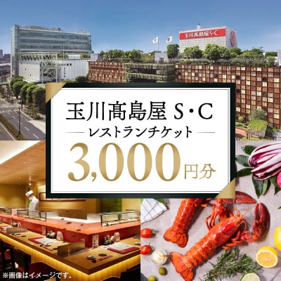 世田谷区ふるさと納税限定　玉川高島屋S・Cレストランチケット(3,000円分)【高島屋選定品】