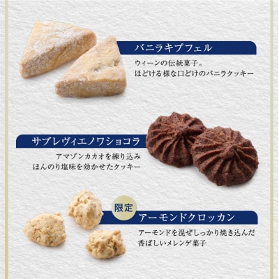 【INFINI】フールセックアソート