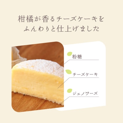 【INFINI】チーズケーキKANKAN