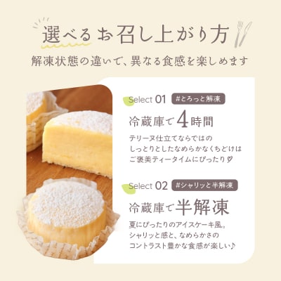 【INFINI】チーズケーキKANKAN