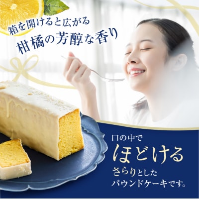 【INFINI】ケークシトロン