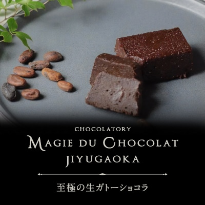 チョコレート専門店「MAGIE DU CHOCOLAT」至極の生ガトーショコラ