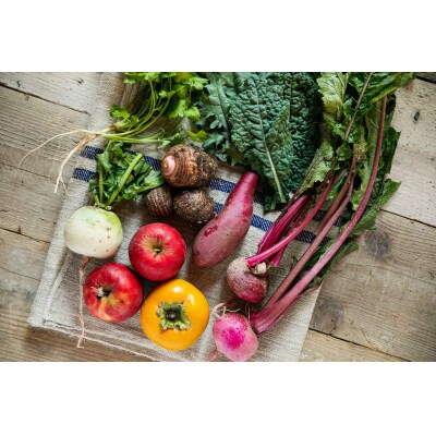 【and CURRY】カレー詰め合わせ3種セット