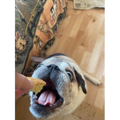 無為自然　一期一会・S(米粉シフォンケーキとスペシャルティコーヒーセット)【世田谷みやげ】