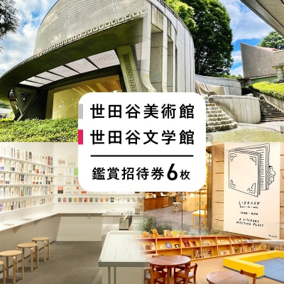世田谷美術館および世田谷文学館の企画展・収蔵品展の鑑賞招待券(6回分)【非売品】