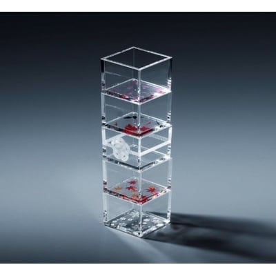 【TOMONARI】アクリル升 mas/mas(マスマス)0.3合枡　5個セット　四季柄