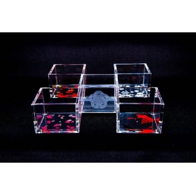 【TOMONARI】アクリル升 mas/mas(マスマス)0.3合枡　5個セット　四季柄