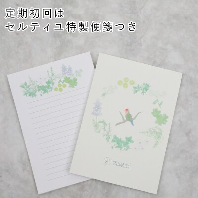 【全3回定期便】セルティユ素肌液 60mL×2本(3回) [オリジナル成分マロンエキス配合]