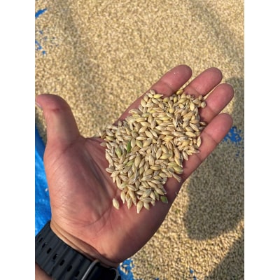 世田谷SHIBARIN BEER クラフトビール 6本セット(世田谷みやげ)