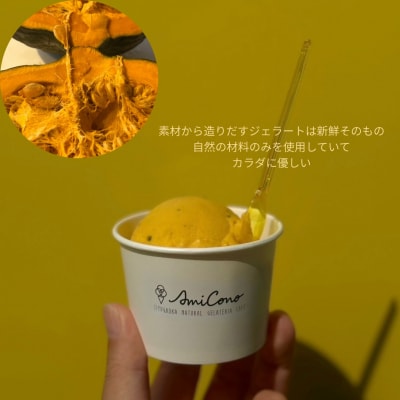 季節の天然素材ジェラート AmiCono seasonal 8種8CUPS SET