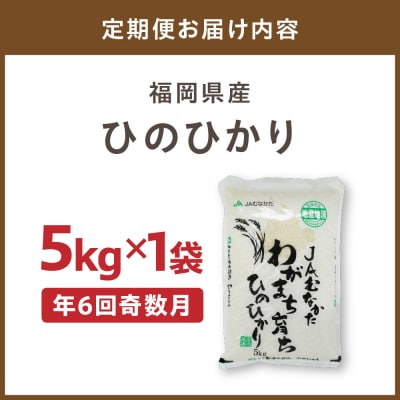 令和7年産新米先行予約!【定期便/年6回】「ひのひかり」5kg【ほたるの里】_HB0196