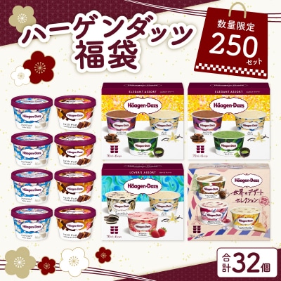 【数量限定!!】大人の贅沢アイスクリーム福袋(アソートボックス&ミニカップ)_H0026-067