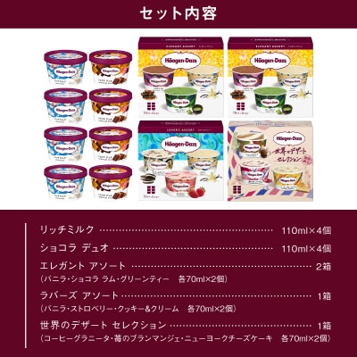 【数量限定!!】大人の贅沢アイスクリーム福袋(アソートボックス&ミニカップ)_H0026-067