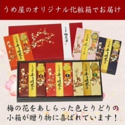 【一週間以内に発送】辛子明太子詰合せ6種×100g【梅花宴六味セット】【うめ屋】_HA0010